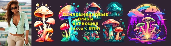 винт Нея