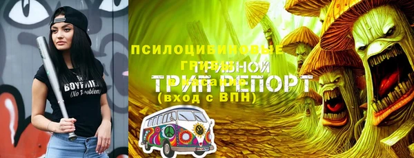 гашик Гатчина
