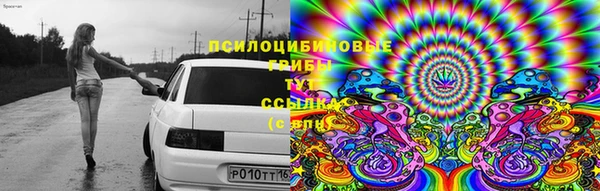 прущие крисы Наволоки