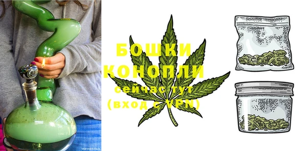 винт Нея